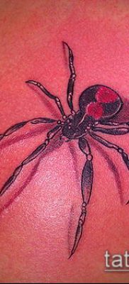 fotó tetoválás fekete özvegy (tetoválás) (érték) - példa rajz - 015