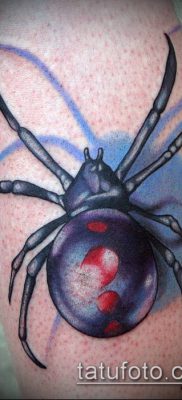 fotó tetoválás fekete özvegy (tetoválás) (érték) - példa rajz - 016