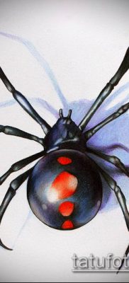 fotó tetoválás fekete özvegy (tetoválás) (érték) - példa rajz - 017