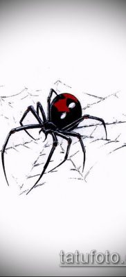 fotó tetováló fekete özvegyről (tetoválás) (érték) - példa rajz - 019