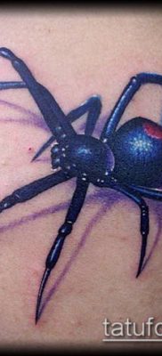 fotó tetoválás fekete özvegy (tetoválás) (érték) - példa rajz - 020