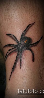 fotó tetoválás fekete özvegy (tetoválás) (érték) - példa rajz - 021