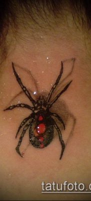 fotó tetoválás fekete özvegy (tetoválás) (érték) - példa rajz - 022