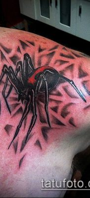 fotó tetoválás fekete özvegy (Tattoo) (érték) - példa rajz - 023