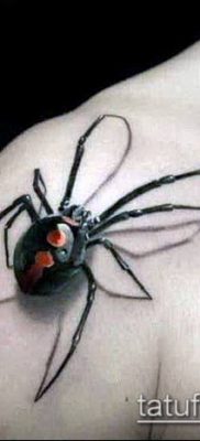 fotó tetoválás fekete özvegy (Tattoo) (érték) - példa rajz - 026