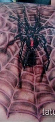 fotó tetoválás fekete özvegy (Tattoo) (érték) - példa rajz - 027