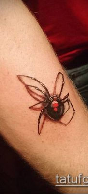 fotó tetoválás fekete özvegy (tetoválás) (érték) - példa rajz - 029