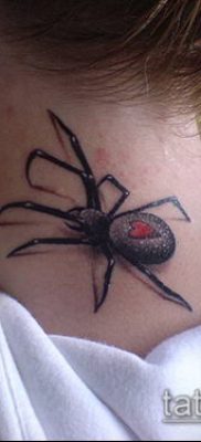 fotó tetováló fekete özvegyről (Tattoo) (érték) - példa rajz - 030