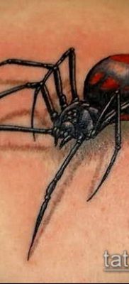 fotó tetoválás fekete özvegy (tetoválás) (érték) - példa rajz - 034