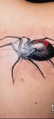 fotó tetoválás fekete özvegy (tetoválás) (érték) - példa rajz - 035