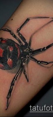 fotó tetoválás fekete özvegy (tetoválás) (érték) - példa rajz - 037