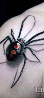 fotó tetoválás fekete özvegy (tetoválás) (érték) - példa rajz - 039