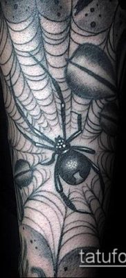 fotó tetoválás fekete özvegy (Tattoo) (érték) - példa rajz - 041