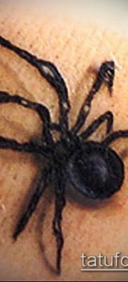 fotó tetoválás fekete özvegy (Tattoo) (érték) - példa rajz - 042