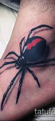 fotó tetoválás fekete özvegy (Tattoo) (érték) - példa rajz - 043