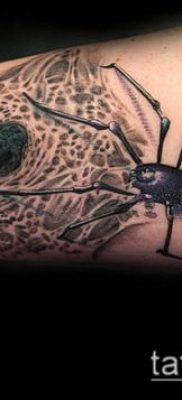 fotó tetoválás fekete özvegy (tetoválás) (érték) - példa rajz - 045