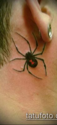 fotó tetoválás fekete özvegy (Tattoo) (érték) - példa rajz - 047