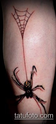 fotó tetoválás fekete özvegy (tetoválás) (érték) - példa rajz - 048