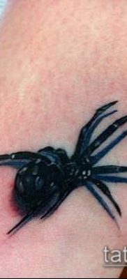 fotó tetoválás fekete özvegy (tetoválás) (érték) - példa rajz - 049