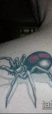 fotó tetoválás fekete özvegy (tetoválás) (érték) - példa rajz - 052