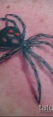 fotó tetoválás fekete özvegy (tetoválás) (érték) - példa rajz - 055