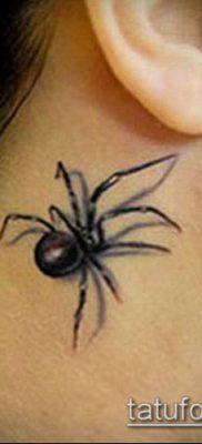 fotó tetoválás fekete özvegy (tetoválás) (érték) - példa rajz - 059