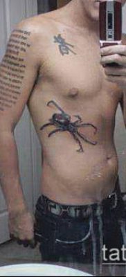 fotó tetoválás fekete özvegy (Tattoo) (érték) - példa rajz - 061