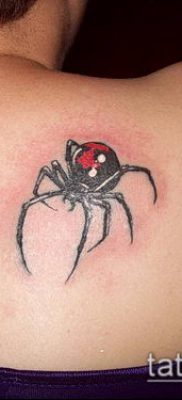 fotó tetoválás fekete özvegy (Tattoo) (érték) - példa rajz - 062