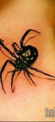 fotó tetoválás fekete özvegy (tetoválás) (érték) - példa rajz - 068