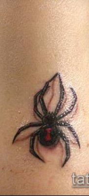 fotó tetoválás fekete özvegy (Tattoo) (érték) - példa rajz - 069