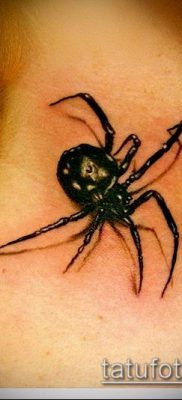 fotó tetoválás fekete özvegy (tetoválás) (érték) - példa rajz - 070