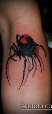 fotó tetoválás fekete özvegy (tetoválás) (érték) - példa rajz - 073