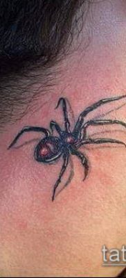 fotó tetoválás fekete özvegy (tetoválás) (érték) - példa rajz - 075