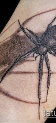 fotó tetováló fekete özvegyről (tetoválás) (érték) - példa rajz - 076