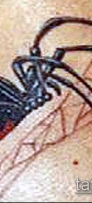 fotó tetoválás fekete özvegy (tetoválás) (érték) - példa rajz - 077