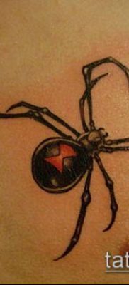 fotó tetoválás fekete özvegy (Tattoo) (érték) - példa rajz - 081