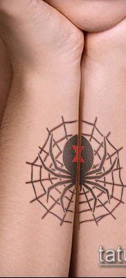 fotó tetoválás fekete özvegy (Tattoo) (érték) - példa rajz - 086