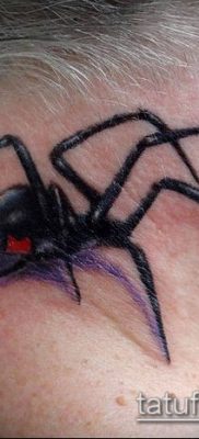 fotó tetoválás fekete özvegy (tetoválás) (érték) - példa rajz - 087