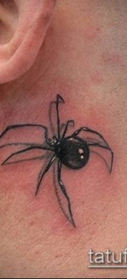 fotó tetoválás fekete özvegy (tetoválás) (érték) - példa rajz - 088