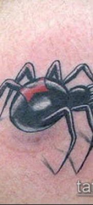 fotó tetoválás fekete özvegy (tetoválás) (érték) - példa rajz - 091