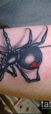 fotó tetoválás fekete özvegy (Tattoo) (érték) - példa rajz - 092