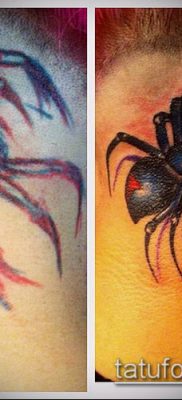 fotó tetoválás fekete özvegy (tetoválás) (érték) - példa rajz - 093