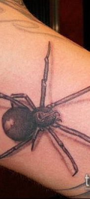 fotó tetoválás fekete özvegy (tetoválás) (érték) - példa rajz - 094