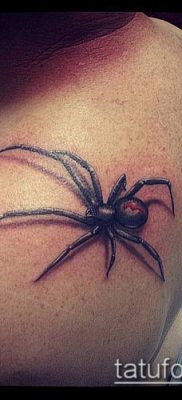 fotó tetoválás fekete özvegy (tetoválás) (érték) - példa rajz - 095