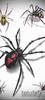 fotó tetoválás fekete özvegy (tetoválás) (érték) - példa rajz - 097