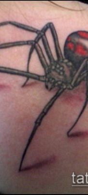 fotó tetoválás fekete özvegy (tetoválás) (érték) - példa rajz - 098