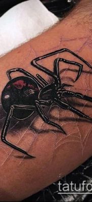 fotó tetováló fekete özvegyről (Tattoo) (érték) - példa rajz - 100