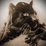 A párduc tetoválás jelentése 9