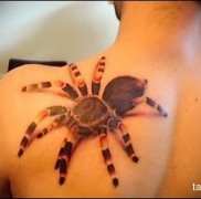 pók tetoválás a lapockán