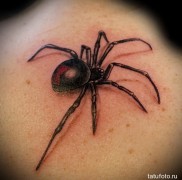 jelentése, története, jelentése a fotón látható pók tetoválásnak